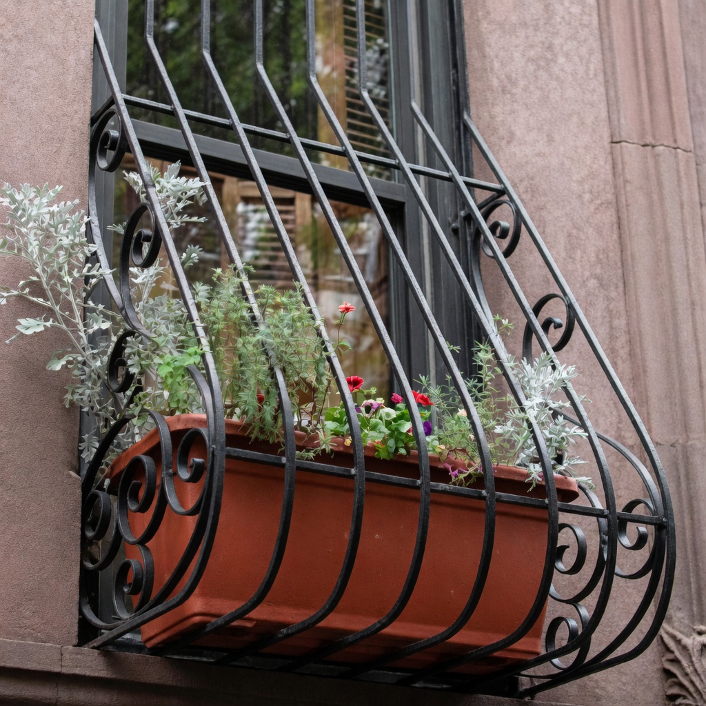 Window Guards NYC